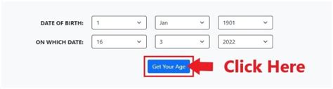 how old am i if i was born in 1988|age calculator date of birth.